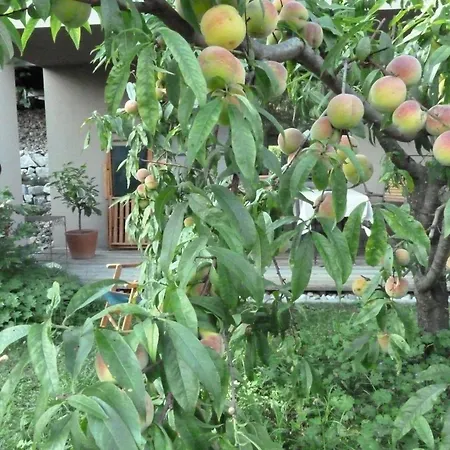 Nocleg ze śniadaniem Rosenrot Eichberg (Graz-Umgebung)