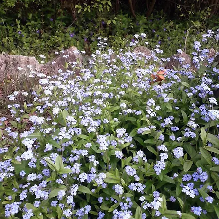 Nocleg ze śniadaniem Rosenrot 3*