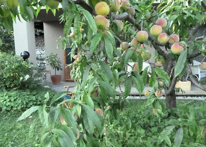 Bed & Breakfast Rosenrot Eichberg (Graz-Umgebung)