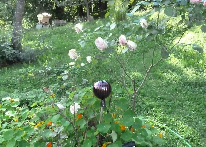 Bed & Breakfast Rosenrot