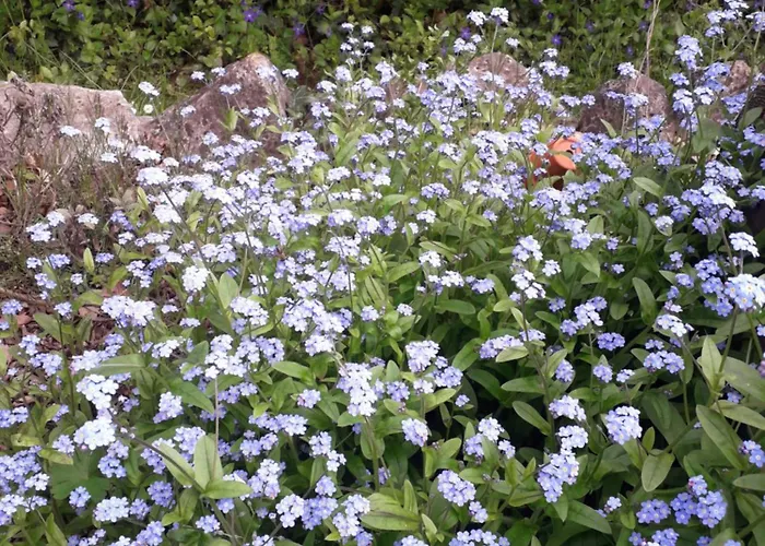 Bed & Breakfast Rosenrot 3*